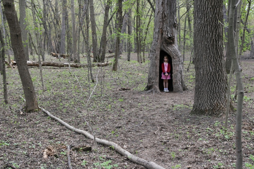 girl in tree