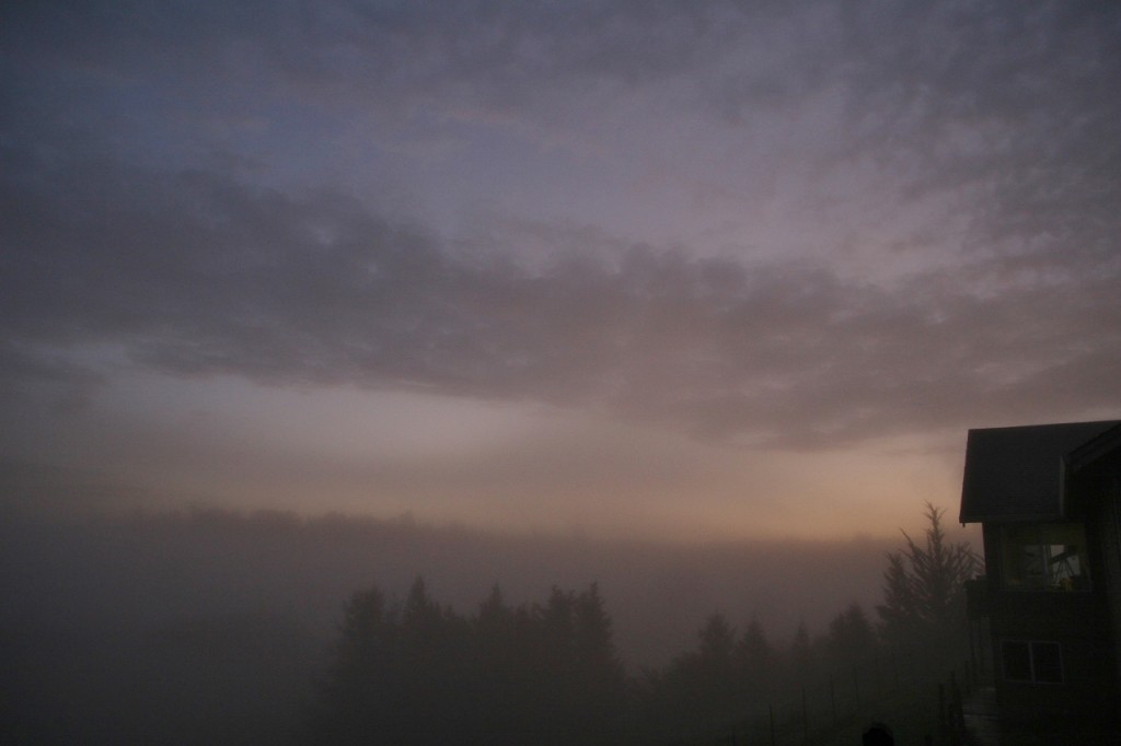 house in mist