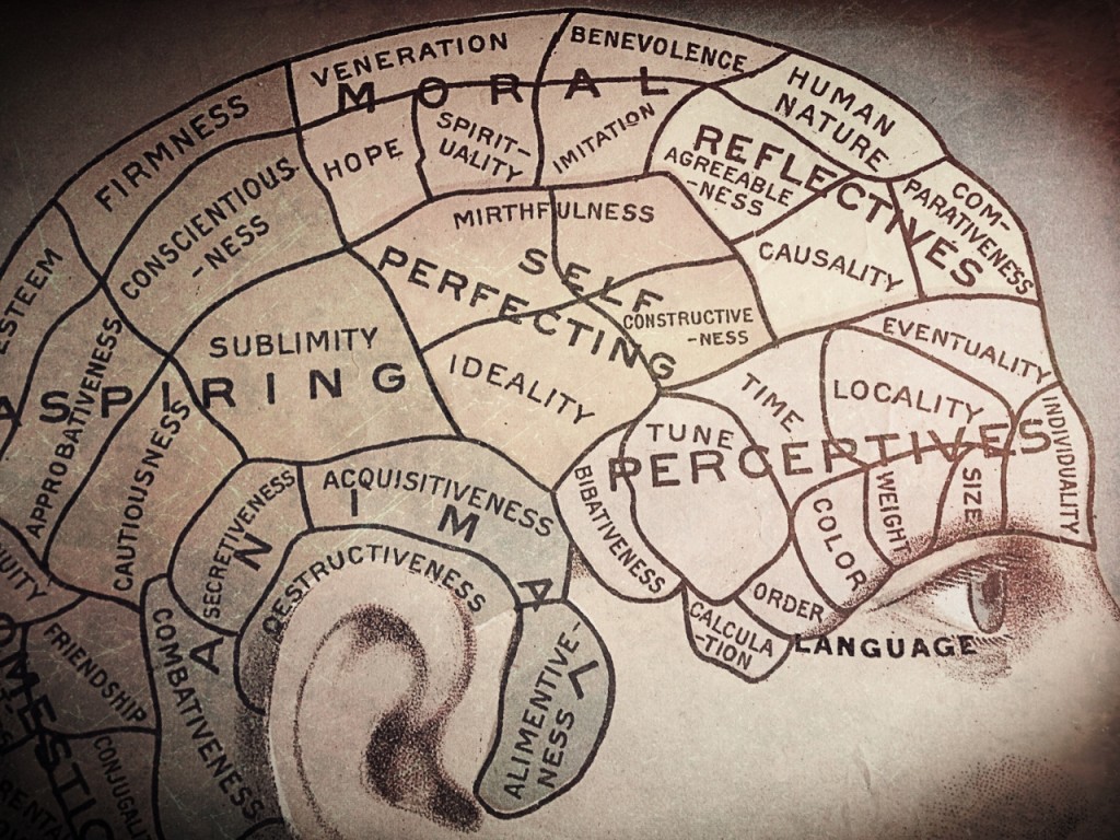 brain